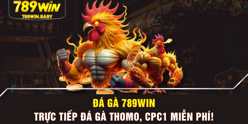 Đá Gà 789WIN - Trực Tiếp Đá Gà Thomo, CPC1 Miễn Phí! Đá Gà 789WIN - Trực Tiếp Đá Gà Thomo, CPC1 Miễn Phí!