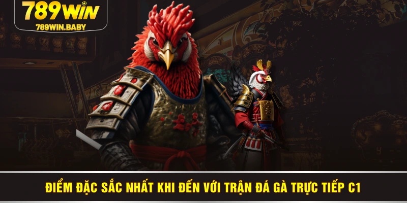 Điểm đặc sắc nhất khi đến với trận đá gà trực tiếp C1 Điểm đặc sắc nhất khi đến với trận đá gà trực tiếp C1