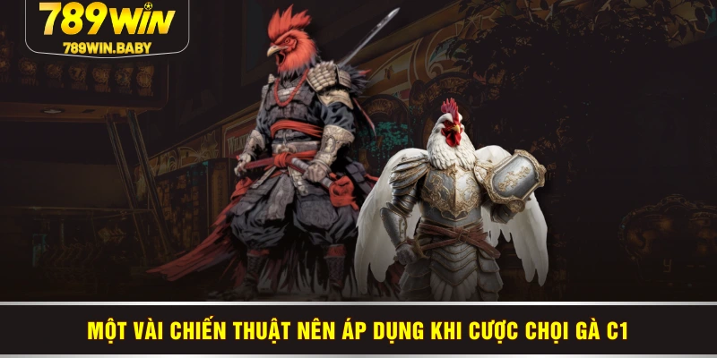 Một vài chiến thuật nên áp dụng khi cược chọi gà C1 Một vài chiến thuật nên áp dụng khi cược chọi gà C1