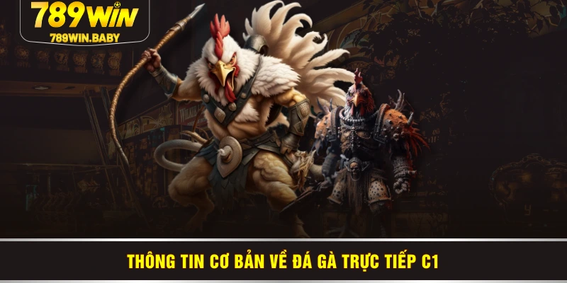 Đôi điều thú vị về đá gà cựa sắt 789WIN Đôi điều thú vị về đá gà cựa sắt 789WIN