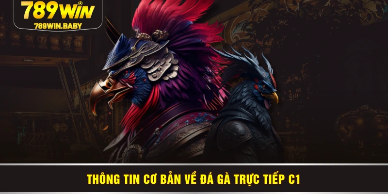 Thông tin cơ bản về đá gà trực tiếp C1 Thông tin cơ bản về đá gà trực tiếp C1
