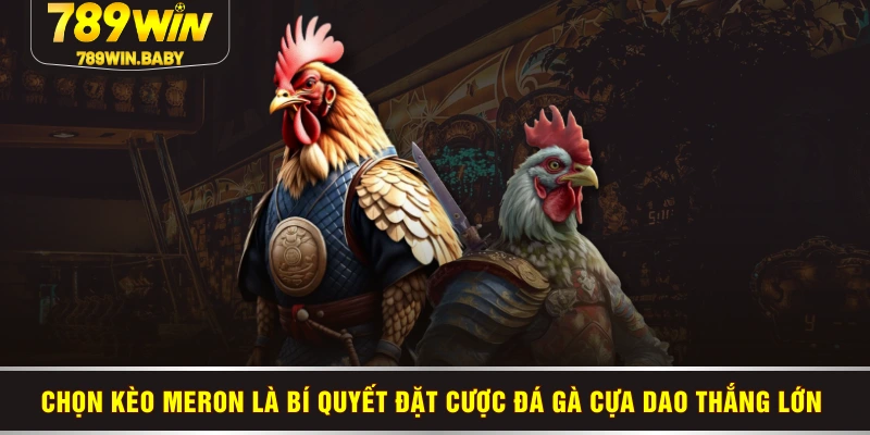 Chọn kèo Meron là bí quyết đặt cược đá gà cựa dao thắng lớn Chọn kèo Meron là bí quyết đặt cược đá gà cựa dao thắng lớn