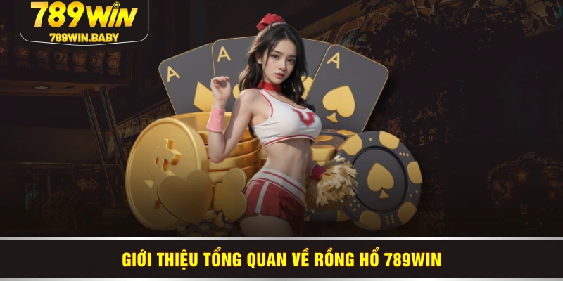Giới thiệu tổng quan về rồng hổ 789WIN Giới thiệu tổng quan về rồng hổ 789WIN