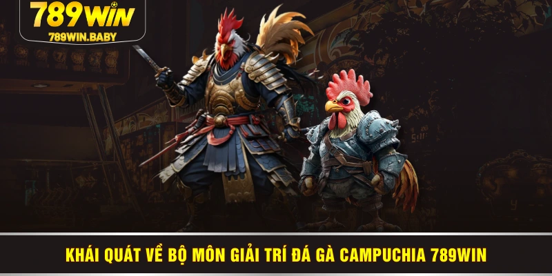Khái quát về bộ môn giải trí đá gà Campuchia 789WIN Khái quát về bộ môn giải trí đá gà Campuchia 789WIN