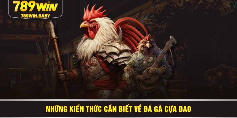 Những kiến thức cần biết về đá gà cựa dao Những kiến thức cần biết về đá gà cựa dao